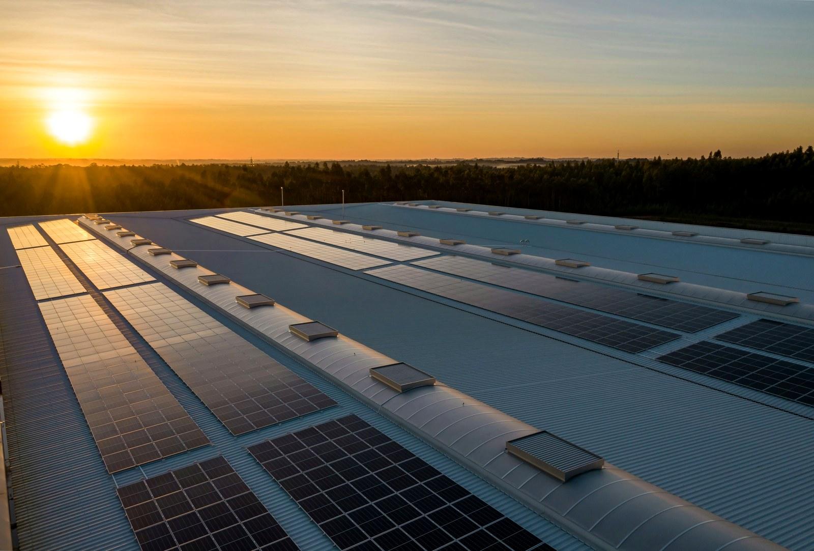 Techo industrial cubierto de paneles solares con el sol en el horizonte